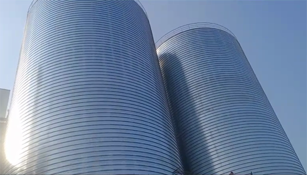 福建2座混凝土高架卷板仓